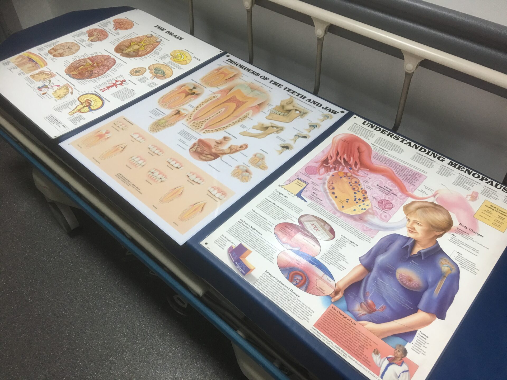 Medical Posters